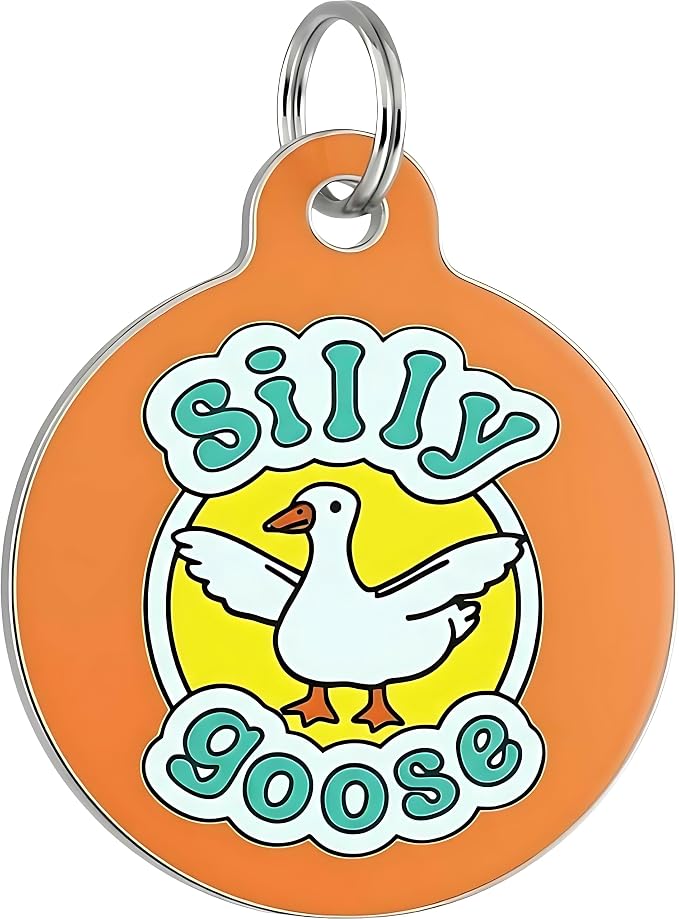 Bad Tags Personalized Dog and Cat ID Tags in 25+ Designs and 2 Sizes - 5 Lines of Custom Engraved Text - Funny Cute Personalized Pet Tags (Silly Goose, Small (1 inch))