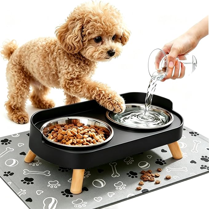 Elevated Dog Bowls with Mat, 2 Stainless Steel for Small Dogs Under 25 Lb | Raised Bowl Stand, Food & Water Set for Cats & Puppies, Splash Proof, Dishwasher Safe, Stain-Resistant Quick-Dry Mat