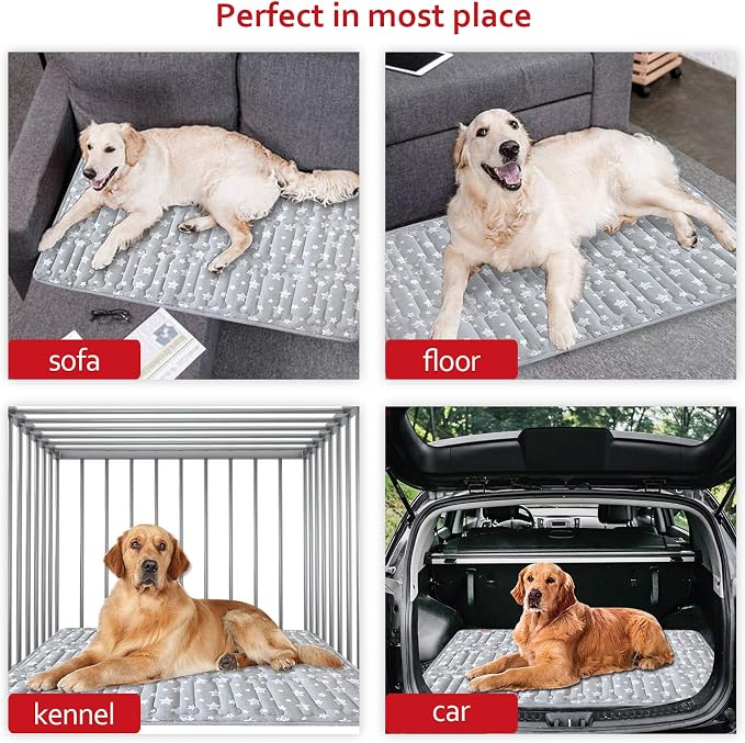 Dog Crate Pad Mat (42" X 28") 2 Pack, Soft Dog Bed Mat with Cute Prints | Personalized Crate Pad, Anti-Slip Bottom, Machine Washable Kennel Pad, Grey