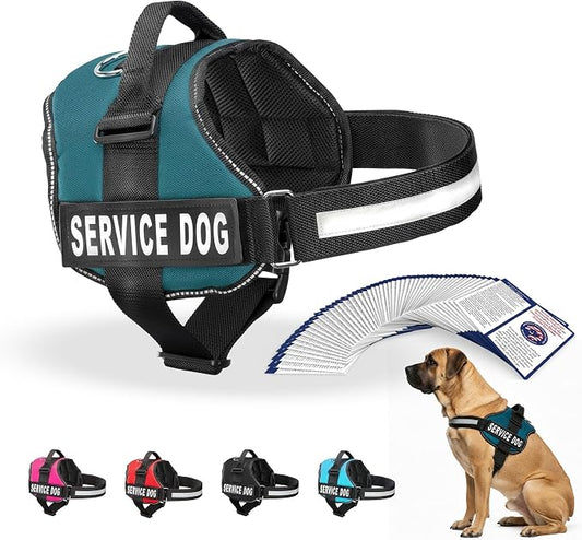 Industrial Puppy Service Dog Vest Harness - Durable & Adjustable Vest for Dog with Reflective Straps, Removable Patches, 50 ADA Cards, Handle & D-Ring, Travel and Daily Use, (Teal, XL 30"-39")