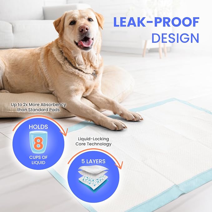Reli. Pee Pads for Dogs XL 28x34 (60 Pack) | Puppy Training Leak-Proof | 8 Cup Absorbent Dog Pads