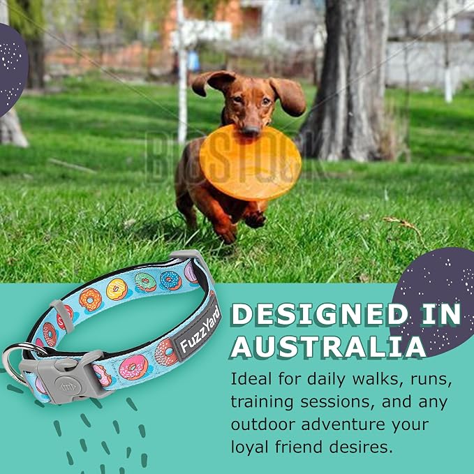 FuzzYard You Drive Me Glazy Dog Collar | Size S | Comfortable Neoprene Pet Collar for Everyday Walking & Training | Ideal Fit for Small Dogs
