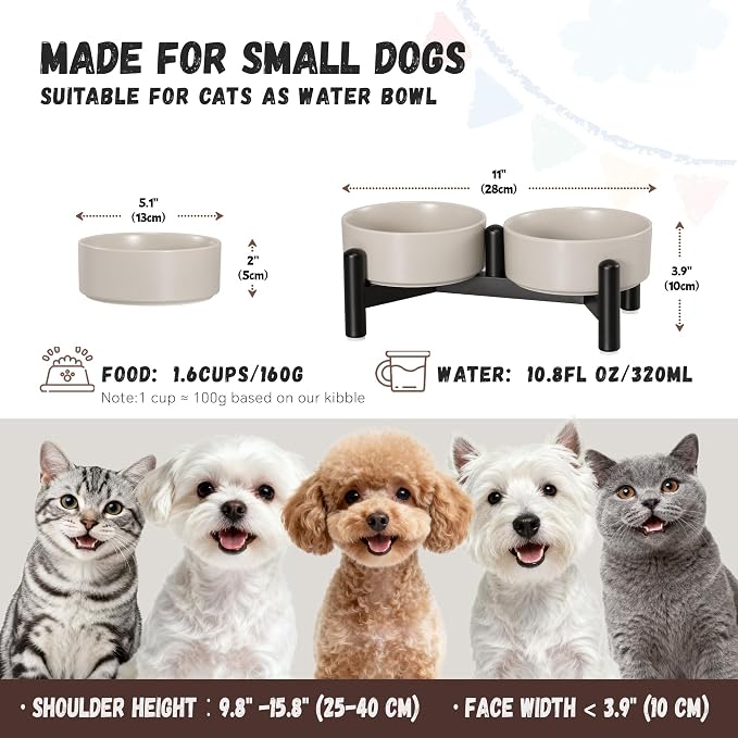 Raised Ceramic Dog Bowl Set - Elevated Double Dishes with Stainless Steel Stand - Food and Water Bowls for Small Dogs and Indoor Cats - Each Holds 1.6 Cups (10.8 fl oz) - Grey