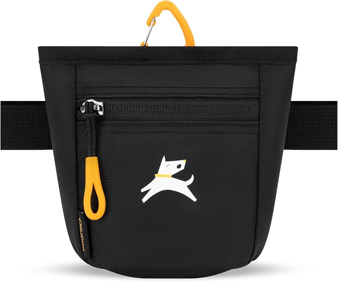 Goodie Treat Bag, Dog Treat Training Pouch | Magnetic Closure | 3 Ways to Wear | Hands-Free Waist Belt | Water-Resistant Recycled Vegan Fabric (Raven S'25)