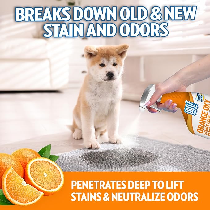 OUT! PetCare Complete Oxy Stain Remover, Dog Stain Carpet Cleaner, 32oz | Upholstery Cleaner, Odor Eliminator, Stain Remover Spray, Pet Carpet Cleaner, Dog Urine Remover, Spot Cleaner, Floor Cleaner