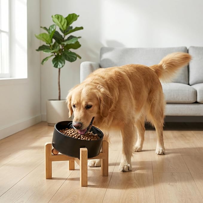 hjn Elevated Ceramic Dog Bowl 15°Slanted Raised Dog Bowl with Bamboo Stand for Small Medium Dogs and Cats, Pet Feeder -7.6-Cup (1800ml)-Black