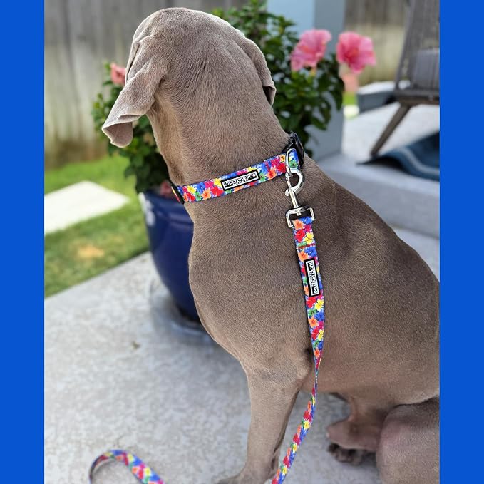 Lucky Love Dog - Adjustable Dog Collar with Easy Click Buckle for Small Ones, Durable, & Comfortable for Male & Female Dogs, Pet Collar for Puppies & Adult Dogs - Hana, XS