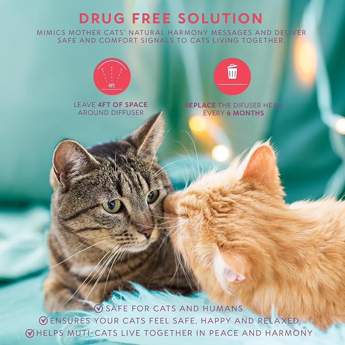 Cat Calming Diffuser Refills: Premium Cat Pheromones Calming Diffuser Refills - 6-Month Supply - Soothing & Relaxing Support for Cats