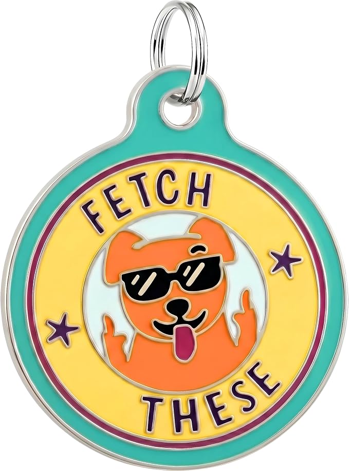 Bad Tags Personalized Dog and Cat ID Tags in 25+ Designs and 2 Sizes - 5 Lines of Custom Engraved Text - Funny Cute Personalized Pet Tags (Fetch These, Large (1.25 inch))