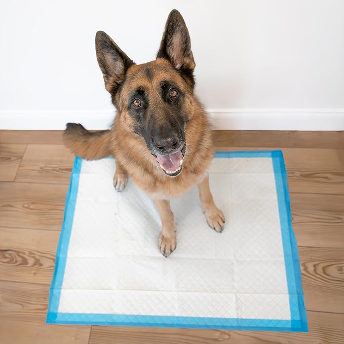 Four Paws Wee-Wee Superior Performance Extra Large Pee Pads for Dogs with Runoff Barrier Edge Guard Protection, Puppy & Dog Potty Training Pads, Housebreaking Supplies, 28" x 34" (75 Count)