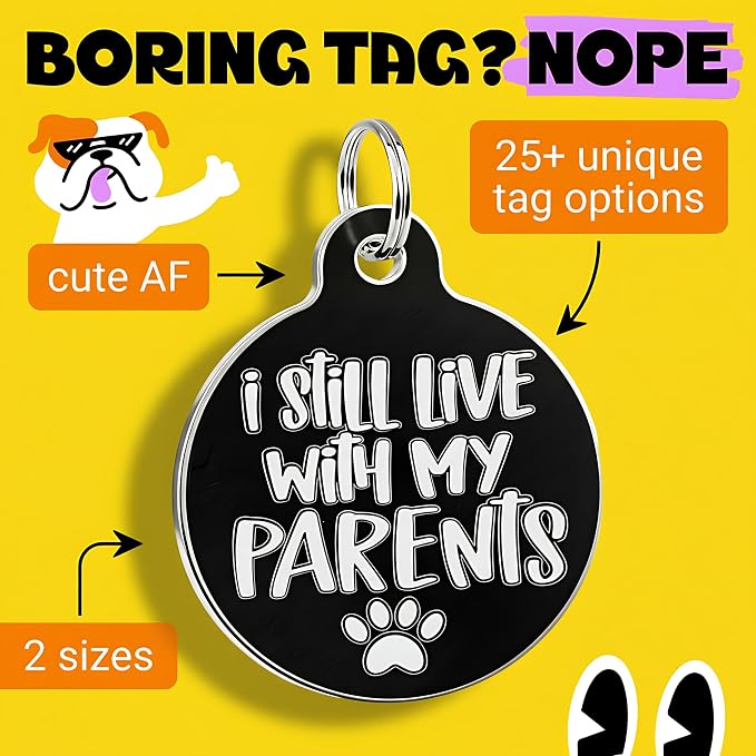 Bad Tags Personalized Dog and Cat ID Tags in 25+ Designs and 2 Sizes - 5 Lines of Custom Engraved Text - Funny Cute Personalized Pet Tags (I Still Live with My Parents, Large (1.25 inch))
