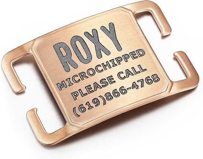 Rugged & Refined: Immovable Slide-On Pet ID Tag - Silent No-Noise Design - Deep Laser Engraved Horology-Grade Steel - Medium | PVD Rose Gold