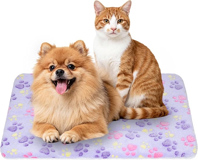 Dog Bed Mat,Soft Dog Kennel Pad with Cute Pattern (Purple Paw, XXL) | Multi-Size Durable & Machine Washable,Pet Pad for Dogs & Cats
