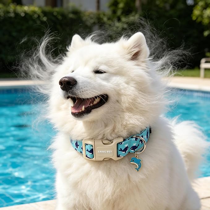 ARING PET Summer Dog Collar-Cute Blue Dog Collar for Small Dogs, Adjustable Cotton Whales Pet Collars Puppy Collar for Small Medium Large Dogs