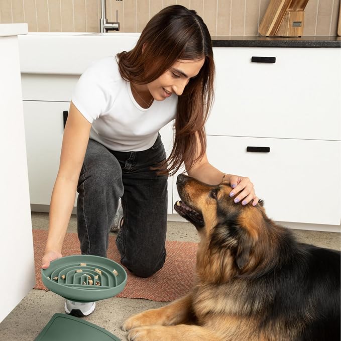 Should We Go? Slow Feeder Dog Bowls - Large Size Silicone Slow Eating Dog Bowl for Puppies & Dogs with Suction Cup -Dishwasher-Safe, Lick Mat Design, Reduces Gulping,for All Breeds,9.5”x1.5”- Spruce