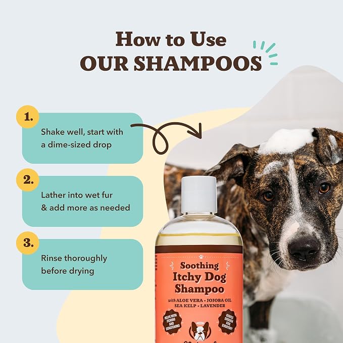 Natural Dog Company Itchy Dog Shampoo for Dogs – Hypoallergenic Dog Shampoo for Itchy Skin Relief, Aloe Vera, Jojoba, Sea Kelp, Lavender & Eucalyptus, Sulfate & Paraben Free, 12 oz