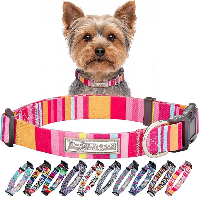 Lucky Love Dog - Adjustable Dog Collar with Easy Click Buckle for Small Ones, Durable, & Comfortable for Male & Female Dogs, Pet Collar for Puppies & Adult Dogs - Molly, XS