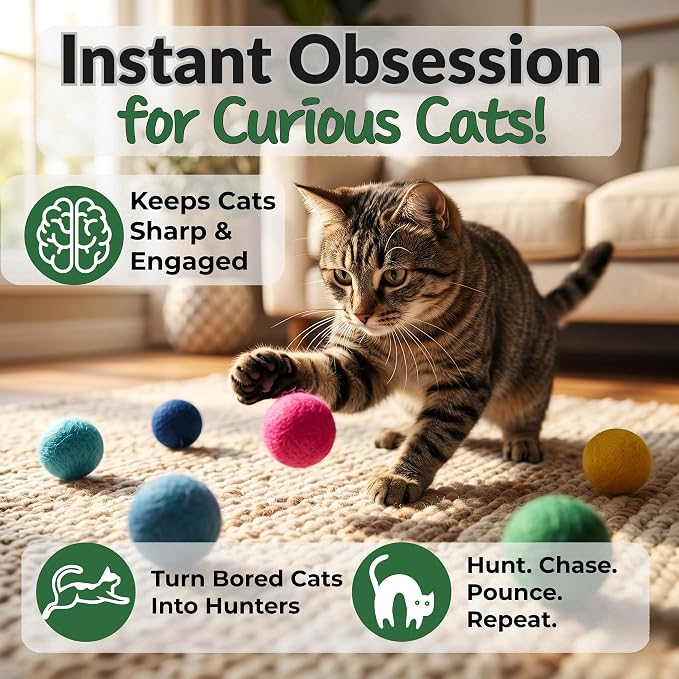 Cat Felt Balls 6 Pack, Wool Toy Balls for Indoor Cats, No Catnip | Dense tightly felted construction holds shape through biting, clawing, and carrying. Resists shedding and unraveling.