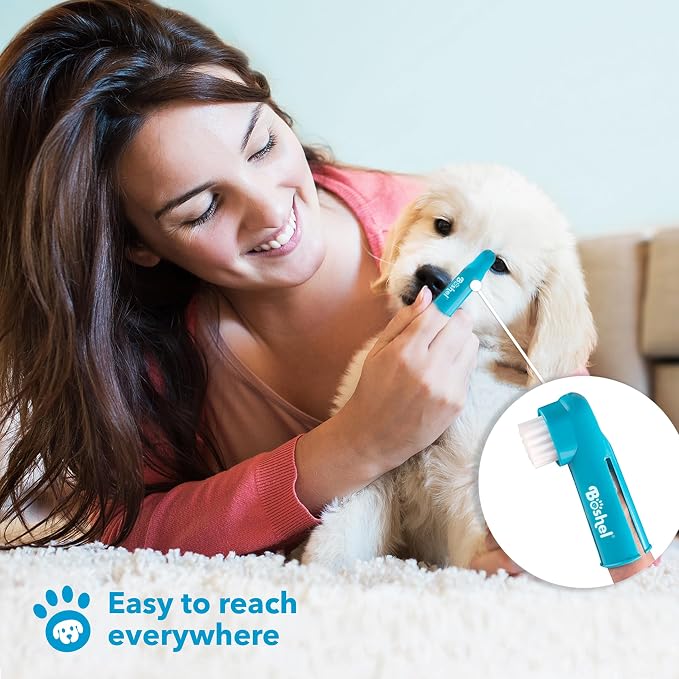 Boshel Pet Toothbrush, 2 Dog Tooth Brush with Dogs Finger Toothbrush for Small and Large Breeds, 3 Pack