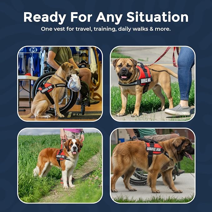 Industrial Puppy Service Dog Vest Harness - Durable and Adjustable Vest for Dog with Reflective Straps, Removable Patches, 50 ADA Cards, Handle & D-Ring, Travel and Daily Use,(Bright Red, XXL 33"-42")