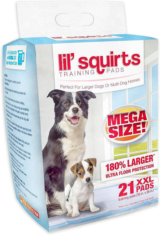Lil' Squirts XX-Large Mega Training Puppy Pads for Larger Dogs & Multi Dog Homes, Pad Size 3' x 3', 21 Padsper Package, Assorted (82003)