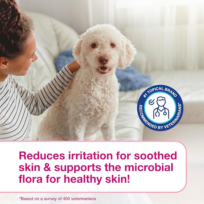 Douxo S3 Calm Dog Shampoo for Itchy Skin Relief, Dog Shampoo for Allergies and Itching, Soothes Itchy, Irritated or Allergic Skin For Dogs and Cats, 16.9 fl oz | Dog Shampoo for Allergies and Itching, Soothes Itchy, Irritated or Allergic Skin For Dogs ...