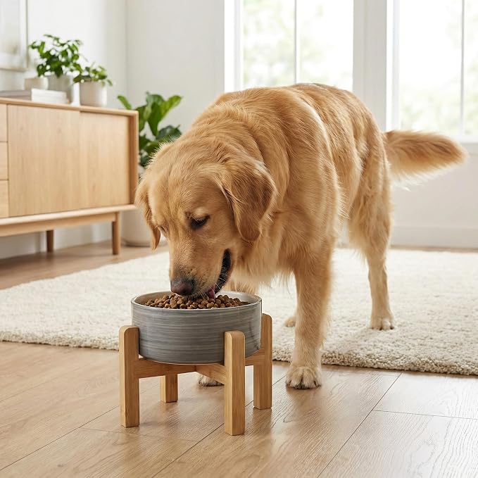 hjn Elevated Ceramic Dog Bowl with Bamboo Stand, Raised Pet Feeding Station for Small Medium Dogs Cats, Modern Design with Anti-Slip Base (White Gray, 7.6Cup)