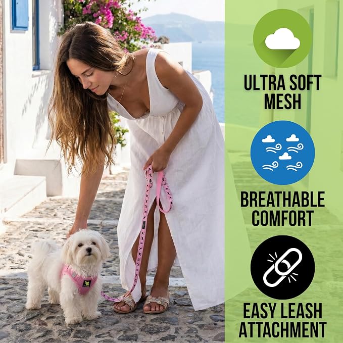 EcoBark Small Dog Harness - Luxury Soft Step in Mesh Harnesses for Puppy & Toy Breed Dogs- Secure Buckle & Reflective Halter Vest for Small Sized Dogs (Sm, Baby Pink)