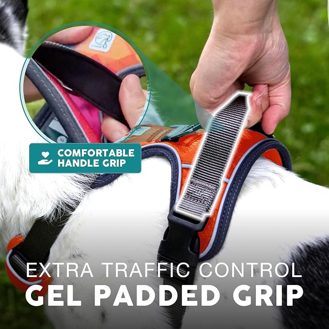 Embark Adventure XL Dog Harness – No-Pull, Reflective Trim, Military-Grade Nylon, Dual Leash Clips, Gel-Lined Handle for Extra Large Dogs