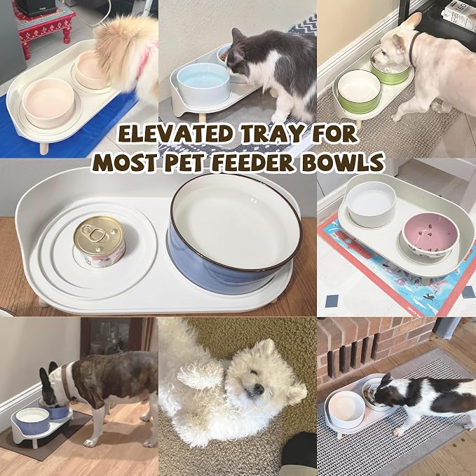 Raised Dog Feeder Bowl Stand (Without Bowls), Fits Dish up to Φ 6" | Spill Proof Elevated Dog Food Stand, Double 3 Diameters Pet Food Holder for Small and Medium Breeds and Cats, White