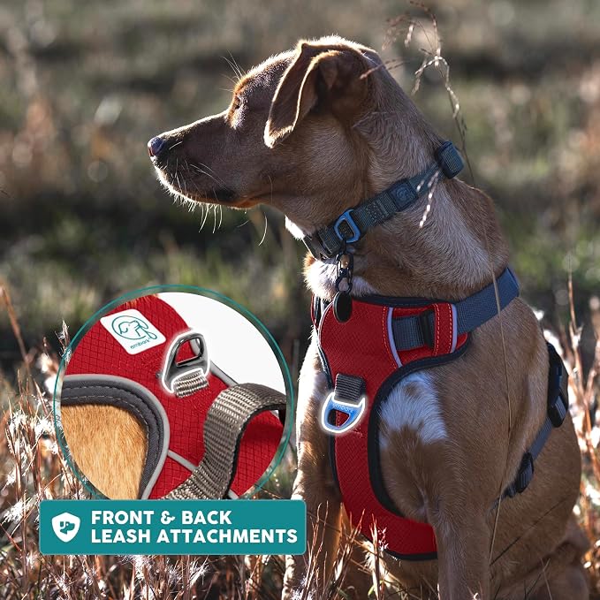 Embark Adventure Medium Dog Harness – No-Pull, Reflective Trim, Military-Grade Nylon, Front Clip with Gel-Lined Handle