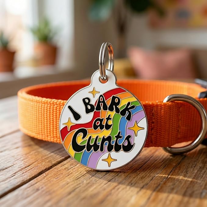 Bad Tags Personalized Dog and Cat ID Tags in 25+ Designs and 2 Sizes - 5 Lines of Custom Engraved Text - Funny Cute Personalized Pet Tags (I Bark at C*NTS - Rainbow, Large (1.25 inch))