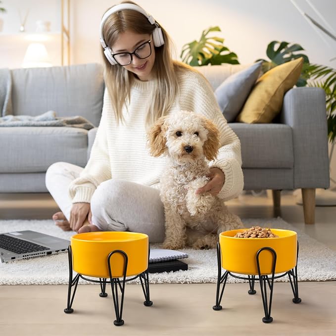 Elevated Dog Bowls, Ceramic Raised Dog Bowl Set with Anti-Slip and Non-Tip Metal Stand, 2 Pack Pet Food and Water Feeding Bowls for Small and Medium Dogs (Yellow,3.6 Cups)