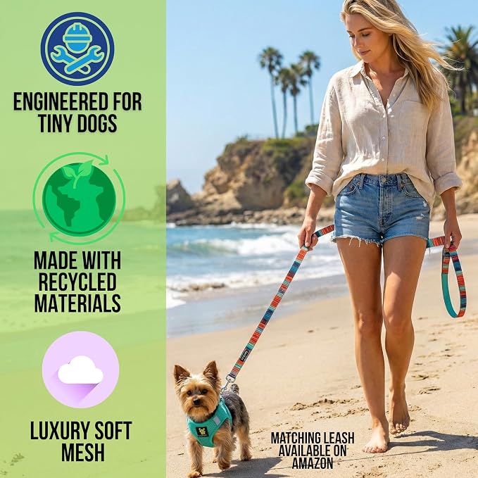 EcoBark Premium Teacup Dog Harness - Luxury Soft Tiny and Toy Breed Harness for Puppy - Mini Step in Vest Body Halter Under 5 lbs (XXXS, Mint)