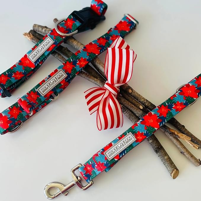 Lucky Love Dog - Easy Click Noel Dog Collar with Leash Set Combo, Durable & Comfortable for Male & Female Dogs, Pet Collar for Small Dogs, Secure Fit - Noel Combo, XS