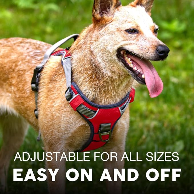 Embark Adventure Small Dog Harness – No-Pull, Reflective Trim, Military-Grade Nylon, Front Clip with Gel-Lined Handle
