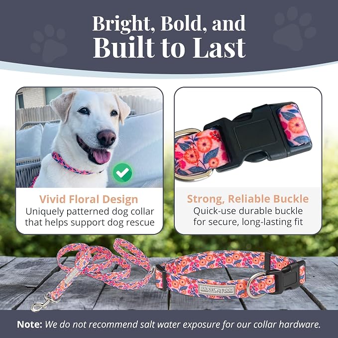 Lucky Love Dog - Easy Click Buckle Dog Collar with Leash Set Combo, Durable & Comfortable for Male & Female Dogs, Pet Collar for Medium Dogs, Secure Fit - Floral Rosie Combo, Medium