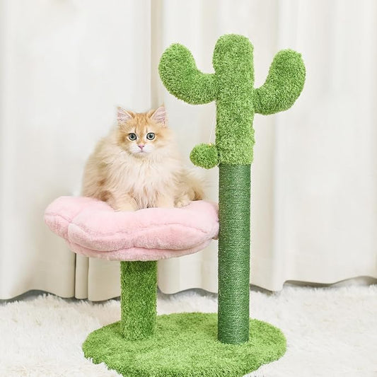 Cat Scratching Post, Cat Scratcher Kitten Scratch Post，Sisal Rope for Indoor Cats, Claw Scratcher for Indoor Cats and Kittens (Cactus)