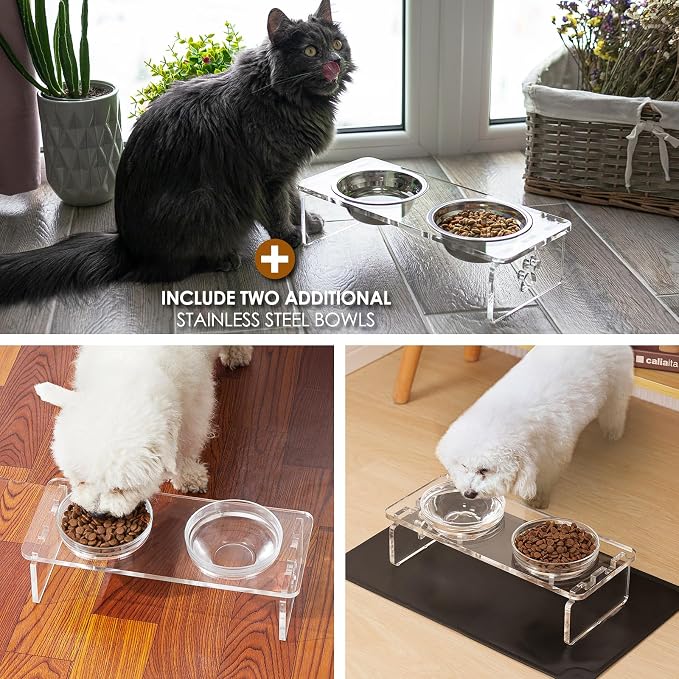 Elevated Dog & Cat Bowls – 3.75” Acrylic Raised Pet Feeder Stand with 2 Stainless Steel & 2 Glass Bowls – Food & Water Dish Set for Puppy/Small Dogs & Cats
