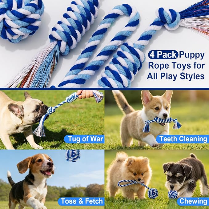 Dog Rope Toys 4 Pack for Small Dogs & Puppies - Cotton Knot Teething Chew Dog Toy, Interactive Tug of War Set for Boredom Relief, Teeth Cleaning, Indoor/Outdoor Play - Blue