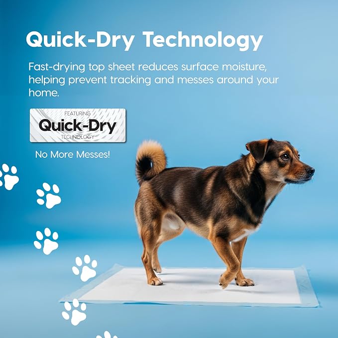 IRIS USA Puppy Pads 100 Count, Dog Training Pads 22"x22", Super Absorbent Leakproof Pee Pads for Dogs, Quick Dry Disposable Potty Training Supplies