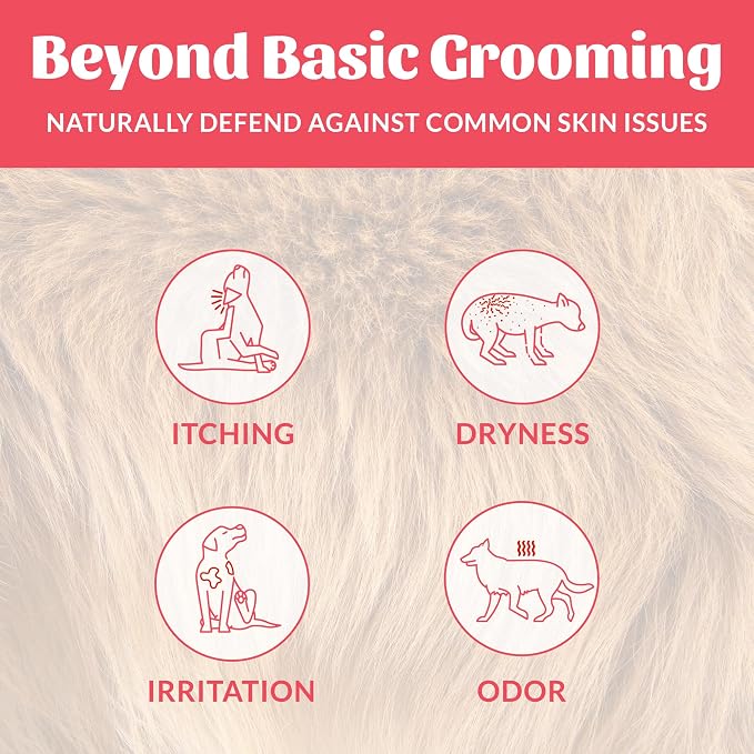 SKOUT'S HONOR Probiotic Dog Shampoo and Conditioner - SC, 16 oz | Natural 2-in-1 for Itchy Skin, Microbiome-Friendly with Avocado Oil & Omega-3s, Paraben & Sulfate-Free