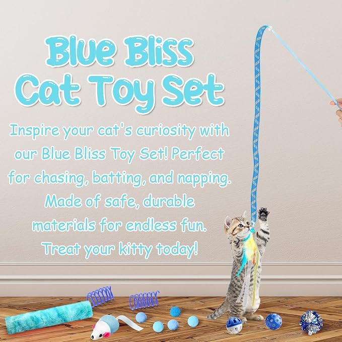Foilswirl 24 Pcs Cat Toys Set Interactive Kitten Toys Pack Including Collapsible Play Tunnel Feather Teaser Wand Fuzzy Ball Springs Pillow Mouse Bells for Indoor Cats Puppy(Blue,Classic)