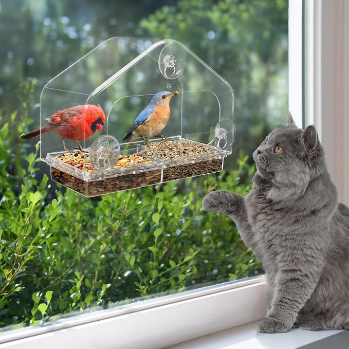 MEWTOGO Outdoor Window Bird Feeder for Cats Viewing, Large | Clear Bird Feeder with Strong Suction Cup, Cat Perch Accessories for Entertaining Watching