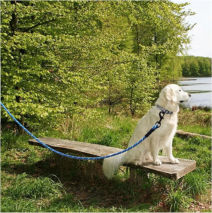 MayPaw Heavy Duty Rope Dog Leash, 3/6/8/10/12/15/20/30 FT Long Dog Lead Nylon Pet Leash, Soft Padded Handle Thick Lead Training Leashes for Large Medium Dogs (15ft * 1/2", Blue Black)