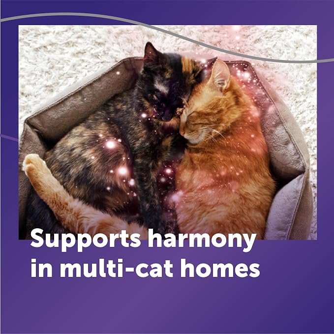 FELIWAY Optimum Cat Calming Pheromone Diffuser Refill - 1 Pack | Advanced Support to Help Reduce Urine Spraying, Scratching, Fighting & Hiding Due to Stress. 30-Day Diffuser Supply