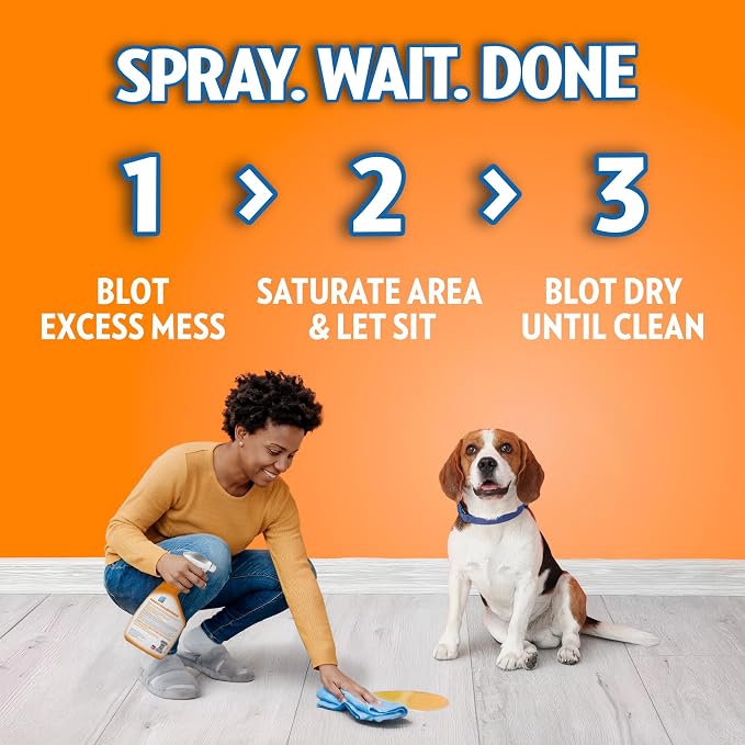 OUT! PetCare Complete Oxy Stain Remover, Dog Stain Carpet Cleaner, 32oz | Upholstery Cleaner, Odor Eliminator, Stain Remover Spray, Pet Carpet Cleaner, Dog Urine Remover, Spot Cleaner, Floor Cleaner