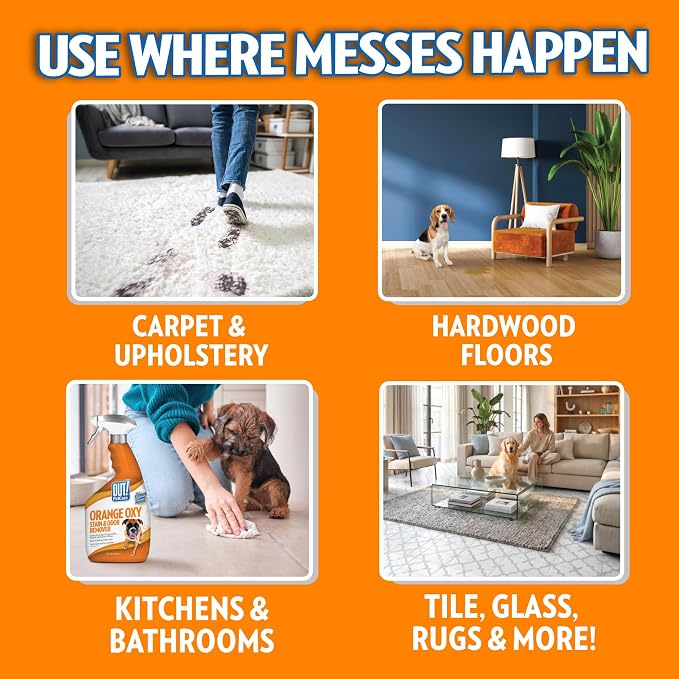 OUT! PetCare Complete Oxy Stain Remover, Dog Stain Carpet Cleaner, 32oz | Upholstery Cleaner, Odor Eliminator, Stain Remover Spray, Pet Carpet Cleaner, Dog Urine Remover, Spot Cleaner, Floor Cleaner