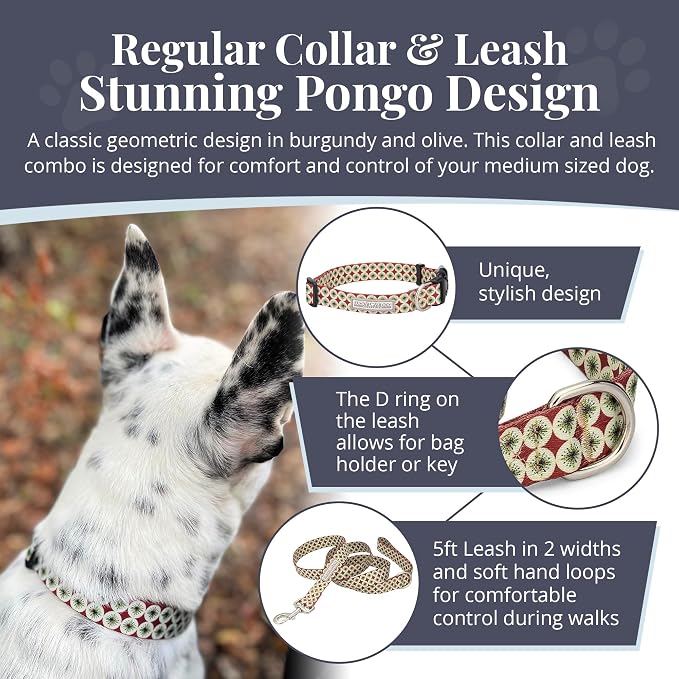 Lucky Love Dog - Easy Click Buckle Dog Collar with Leash Set Combo, Durable & Comfortable for Male & Female Dogs, Pet Collar for Large Dogs, Secure Fit - Pongo Combo, Large