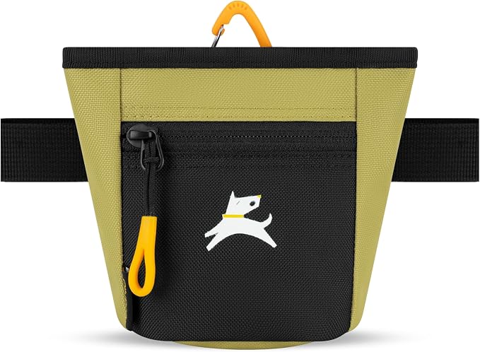 Goodie Treat Bag, Dog Treat Training Pouch | Magnetic Closure | 3 Ways to Wear | Hands-Free Waist Belt | Water-Resistant Recycled Vegan Fabric (Alchemy)